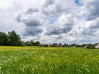 Dramatische Wolken über ausgedehnter blühenden Wiese am Ortsrand - Bubenreuth